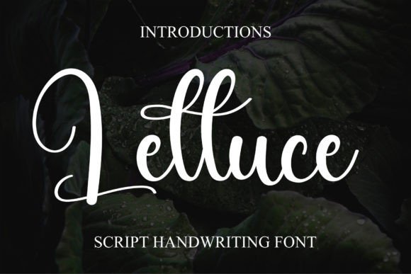 Lettuce: A Handwritten Font That Elevates Digital Marketing Design