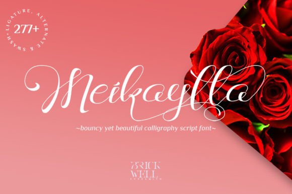 Meikaylla: A Designer’s Real-World Review for Branding and Beyond